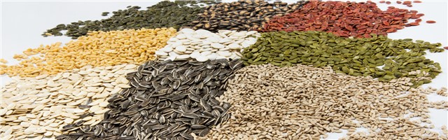 Dalian Jiahong Brothers International Trading Company Ltd