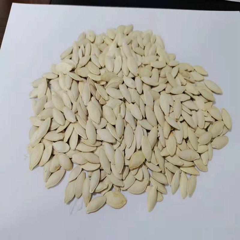 Conventional Lady Nail Pumpkin Seeds 8.5cm