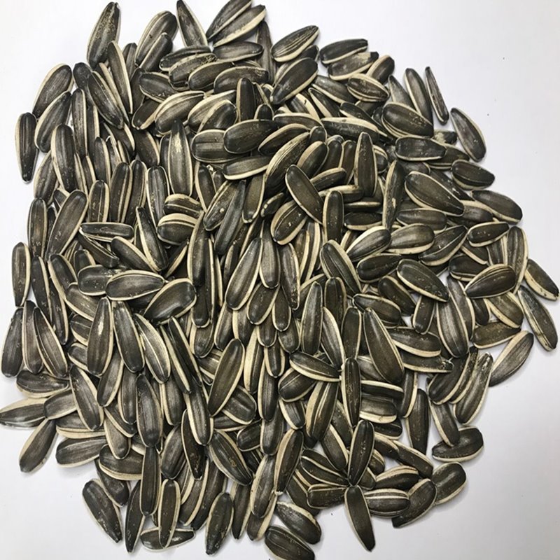 Sunflower Seeds 363type 200-210pcs Per 50g