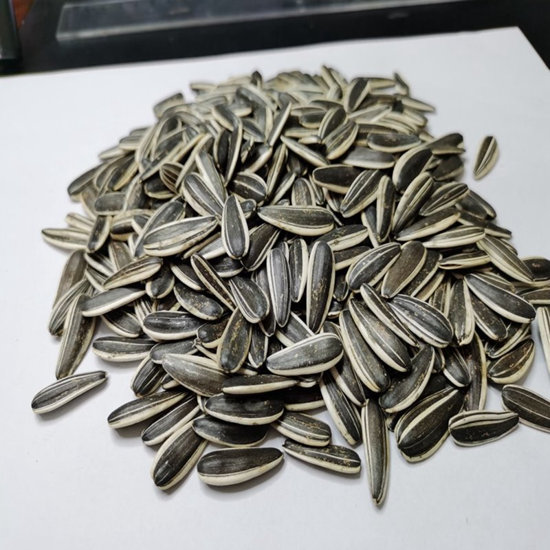 Sunflower Seeds 601type 240-250pcs Per 50g